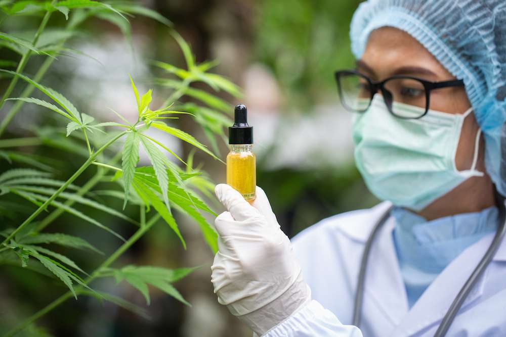 CBD | Ghanaguardian.com