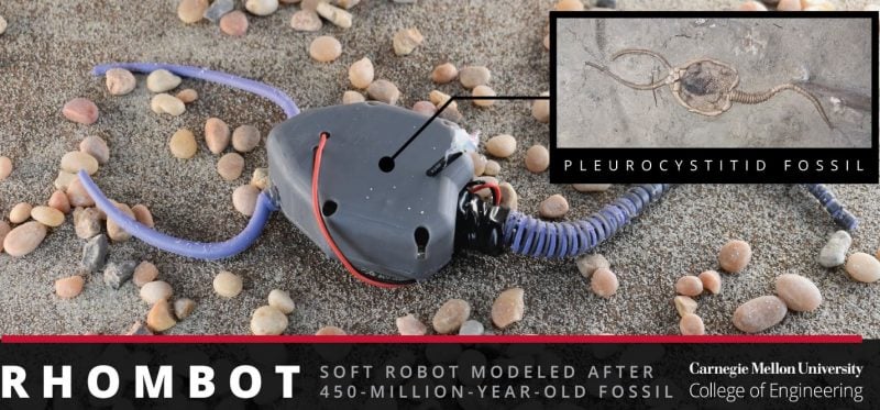 Unveiling the Role of Robots in Deciphering the Lives of Extinct Species