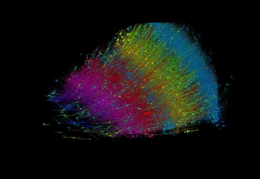 Google and Harvard Reveal the Most Detailed Map of the Human Brain | Ghanaguardian.com Google and Harvard Reveal the Most Detailed Map of the Human Brain
