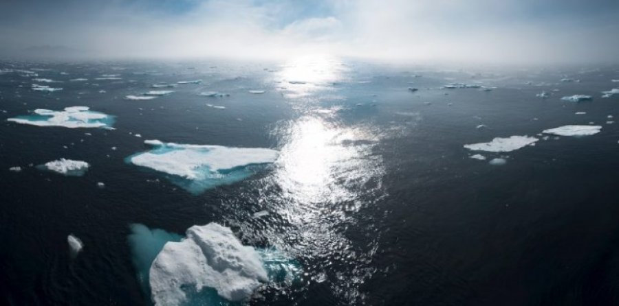 Why Climate Change is Making the Spread of Salmonella More Common