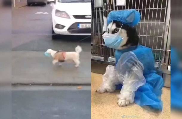 78841655.jpeg | Ghanaguardian.com