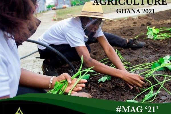 534794809_287139.jpg | Ghanaguardian.com