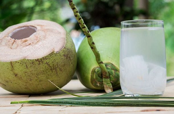 coconut | Ghanaguardian.com