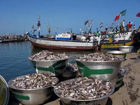 fishing.jpeg | Ghanaguardian.com