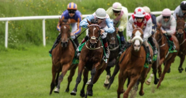 Ayr Gold Cup