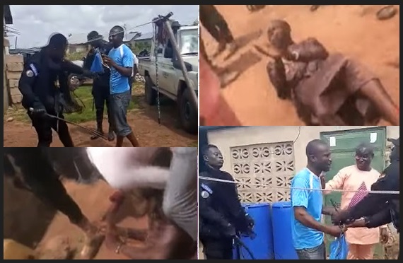 police_whip_Tamale.jpg | Ghanaguardian.com