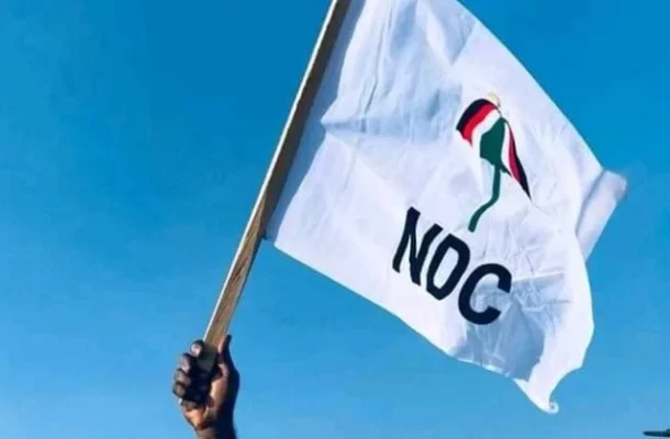 ndc.webp | Ghanaguardian.com