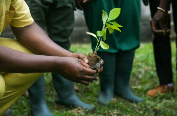 Green-Ghana-Day | Ghanaguardian.com