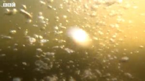 Amsterdam's Innovative "Bubble Curtain" Tackles Plastic Pollution in Canals