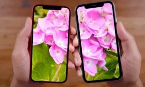 Apple Takes Control: Set to Manufacture Its Own Screens for iPhone