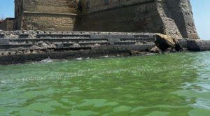 Changing Seas: The Alarming Green Transformation Unveiled