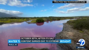 Enchanting Pink Phenomenon: Hawaii's Kealia Lake Transforms Amidst Extreme Drought
