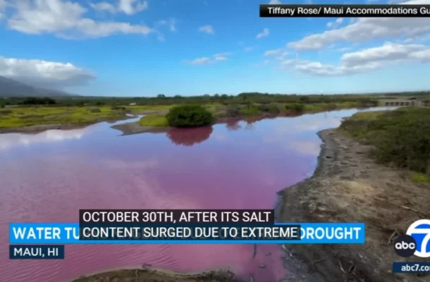 Enchanting Pink Phenomenon: Hawaii's Kealia Lake Transforms Amidst Extreme Drought