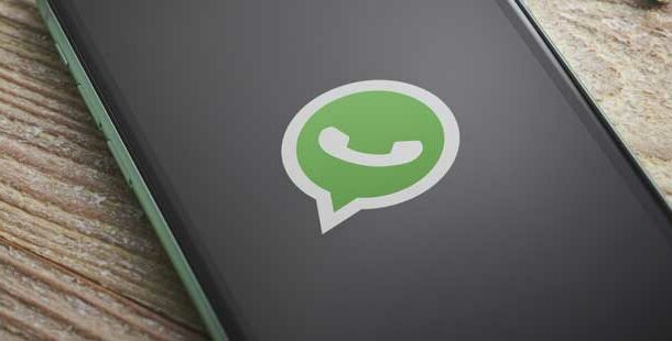WhatsApp's Personalized Palette: A Colorful Revolution for User Experience | Ghanaguardian.com WhatsApp's Personalized Palette: A Colorful Revolution for User Experience