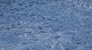 Rare Ice Phenomenon Graces Trieste After 25 Years