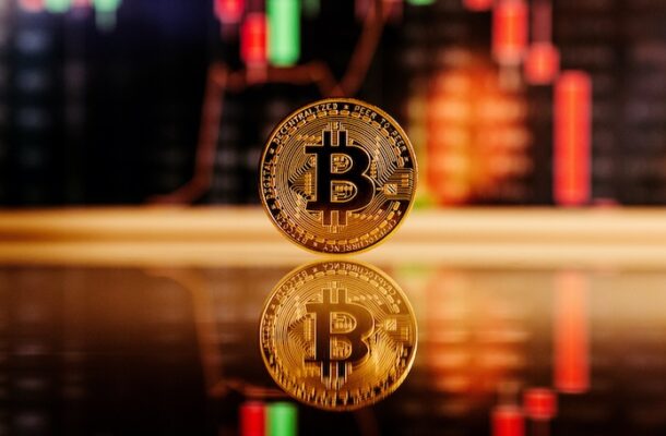 Mapping Cryptocurrency Craze: Where are Investors Flocking to Crypto?