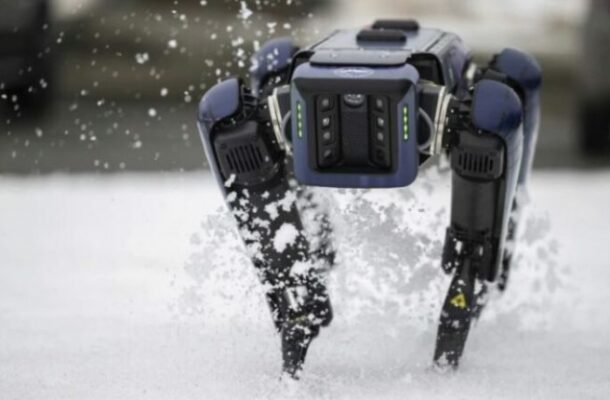 Aurora: The Headless Guardian of Airport Security