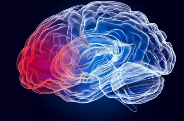 Breakthrough in Cancer Treatment: New Vaccine for Glioblastoma Shows Promise | Ghanaguardian.com Breakthrough in Cancer Treatment: New Vaccine for Glioblastoma Shows Promise