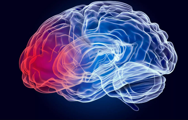 Breakthrough in Cancer Treatment: New Vaccine for Glioblastoma Shows Promise