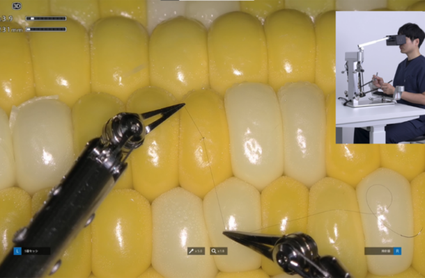 Tiny Robot Performs Microsurgery on Corn Kernel | Ghanaguardian.com Tiny Robot Performs Microsurgery on Corn Kernel