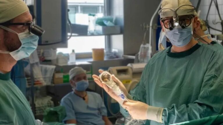 "Hair Dryer in Space" Regenerates Heart Tissue: A Groundbreaking Discovery