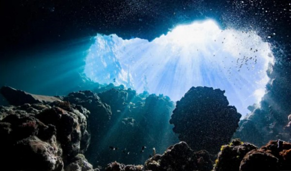 Dark Oxygen Discovery: Unveiling the Ocean's Hidden Oxygen Factory