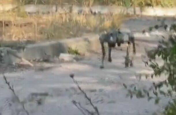 Ukrainian Forces Deploy British ‘Robot Dogs’ for Spying and Kamikaze Missions