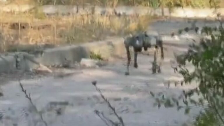 Ukrainian Forces Deploy British ‘Robot Dogs’ for Spying and Kamikaze Missions