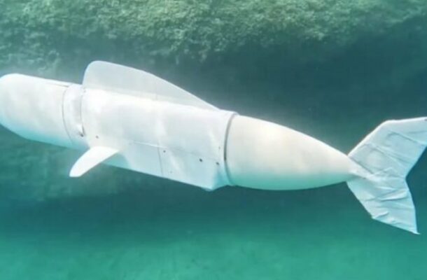 Robotic Fish 'Eva' Pioneers Underwater Research in Swiss Lake | Ghanaguardian.com Robotic Fish 'Eva' Pioneers Underwater Research in Swiss Lake