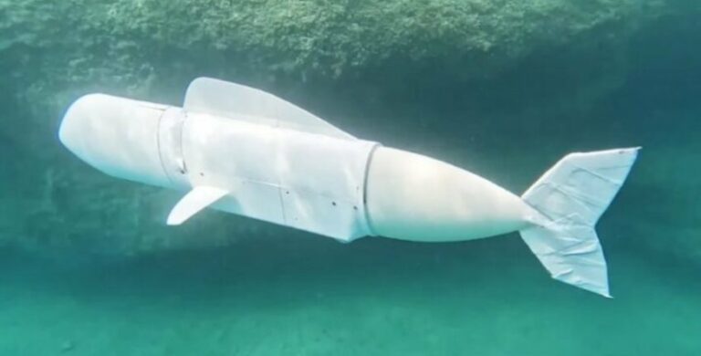 Robotic Fish 'Eva' Pioneers Underwater Research in Swiss Lake