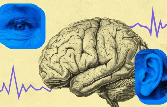 Tackling Dementia: Addressing Key Risk Factors to Prevent the Disease