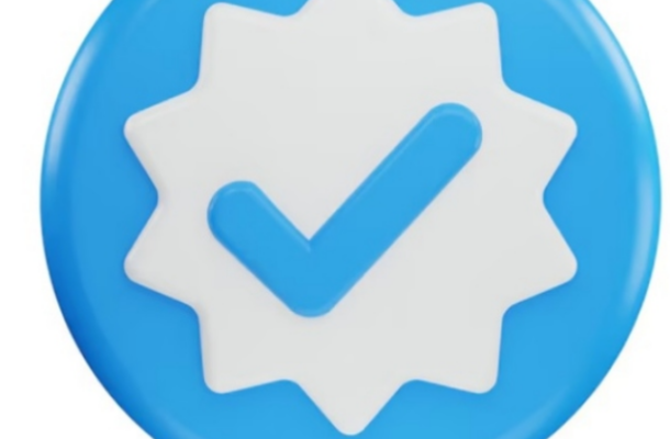 Google Introduces Blue Verification Marks for Search Results