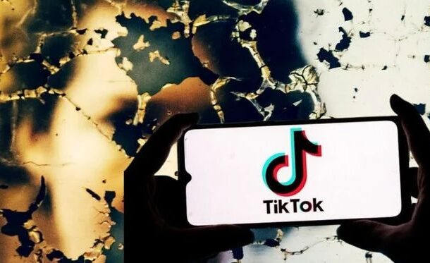 TikTok Faces Legal Battle: 14 States Accuse the Platform of Harming Young Users