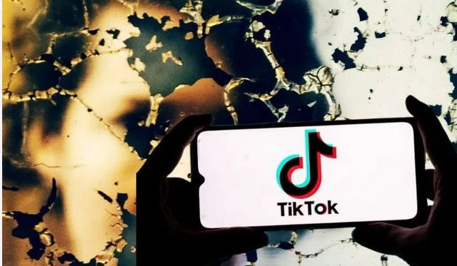 TikTok Faces Legal Battle: 14 States Accuse the Platform of Harming Young Users
