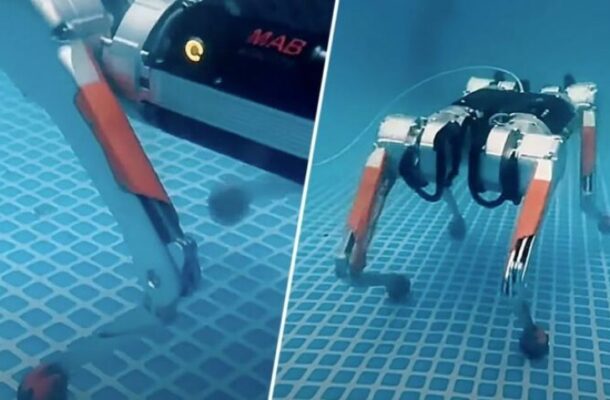 Underwater Marvel: The Honey Badger Robot Revolutionizes Aquatic Exploration