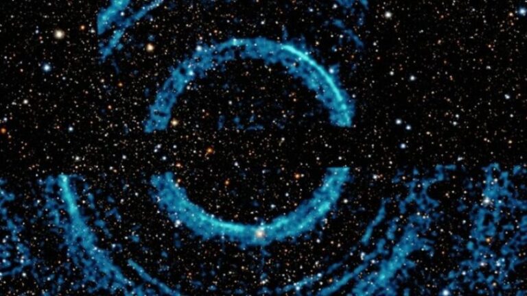A New Perspective on Black Hole Formation: Evidence of a Gentle Collapse