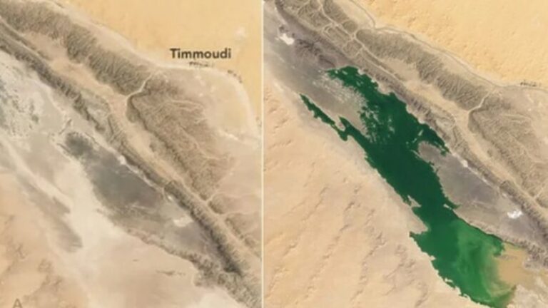 Lake Emerges in the Sahara Desert After Heavy Rainfall: NASA's Stunning Discovery