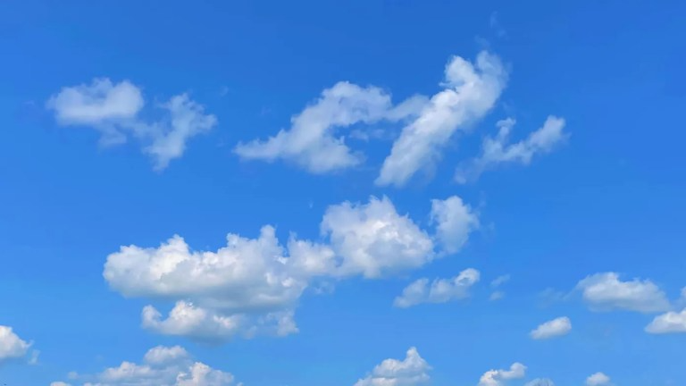 Bluesky Hits 10 Million Users Amid Brazil's Ban on X