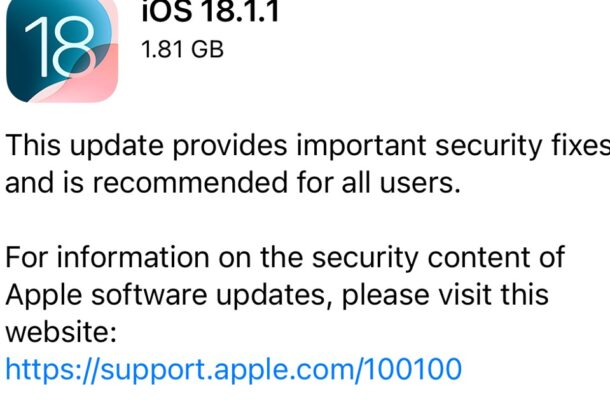 Apple Issues Urgent iPhone Update to iOS 18.1.1: A Crucial Security Fix