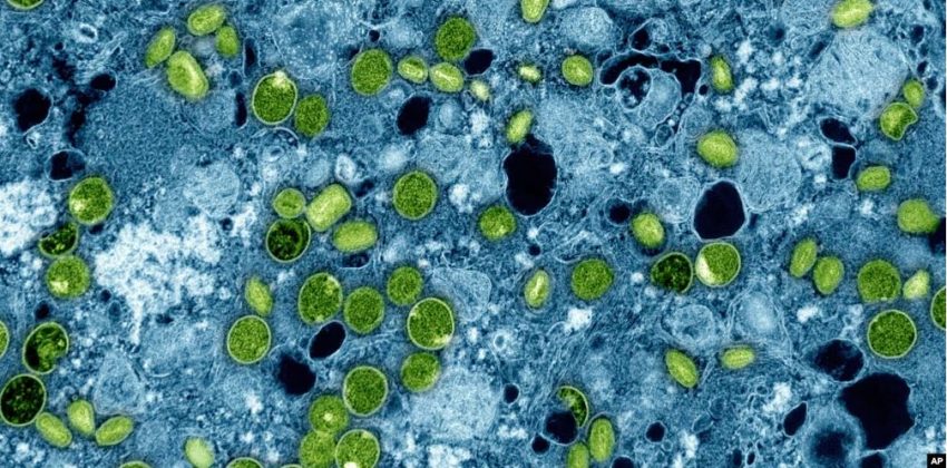 Scientists Create Groundbreaking Atlas of Human Body Cells
