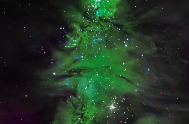 Christmas Tree in Space: A Breathtaking View of 5 Million-Year-Old Stars in the Milky Way