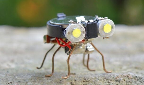 Bio-Robots: Cockroach-Inspired Devices Could Revolutionize Disaster Relief | Ghanaguardian.com Bio-Robots: Cockroach-Inspired Devices Could Revolutionize Disaster Relief
