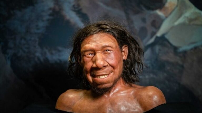 New Findings Challenge Timeline of Homo sapiens and Neanderthal Interbreeding