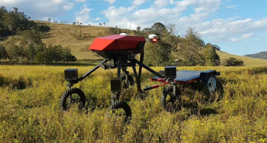 SwagBot: How AI and Robotics Are Revolutionizing Livestock Management in Australia