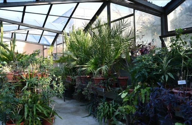 Botanical Garden Skopje: A Sanctuary for Rare and Endangered Plants