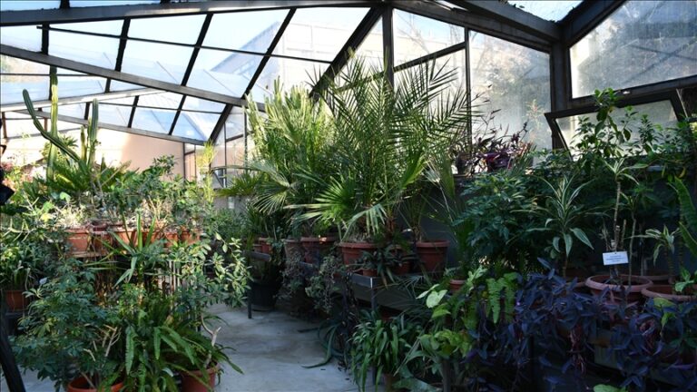 Botanical Garden Skopje: A Sanctuary for Rare and Endangered Plants