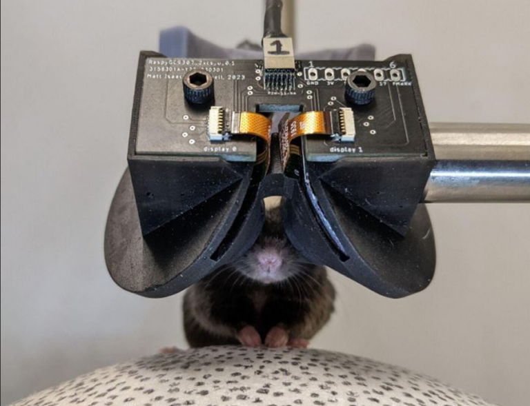  Smart Digital Glasses for Mice Could Unlock Key Insights Into Human Diseases