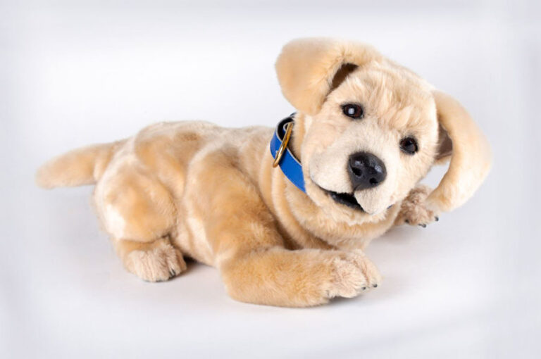 Robotic Dog 'Jeanie' Offers Comfort and Care for People with Alzheimer's
