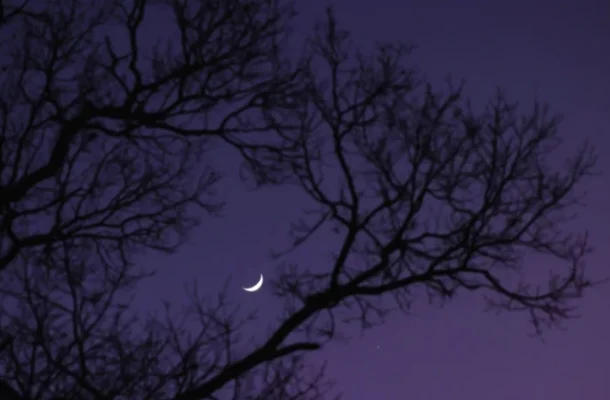 The Moon and Aphrodite Shine Together in a Rare Celestial Display | Ghanaguardian.com The Moon and Aphrodite Shine Together in a Rare Celestial Display
