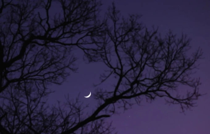  The Moon and Aphrodite Shine Together in a Rare Celestial Display
